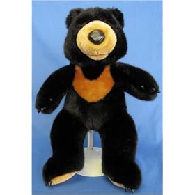 Kodak Sun Bear 15