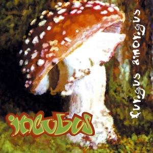 CD-Charts  Music : Fungus Amongus