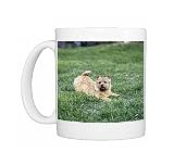 dog-norwich terrier Photo Mugs