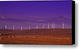 Wind Turbines Canvas Print / Canvas Art - Artist Carson Ganci