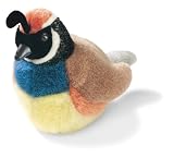 California Quail - Audubon Plush Bird (Authentic Bird Sound)