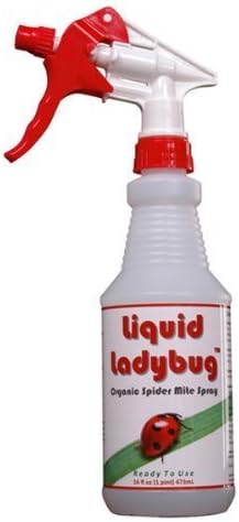 Liquid Ladybug 704630 Aphid and Spider Mite Control RTU Organic Miticide Solution, 16 oz.