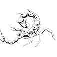 SCORPION 5-AIRBRUSH STENCIL-AIR BRUSH TEMPLATE-INSECT