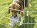Savic Crock Dog Bowl Large 850ml Cage Food Pet Dish