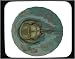 Decorated Mouse Pad with animals, stone, horseshoe, beach, nature, crab, animal