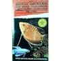 Bettas, Gouramis and Other Anabantoids