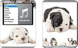 Lazy Days Design Protective Decal Skin Sticker for Apple iPod nano 3G (3rd Generation) 4GB/ 8GB Player