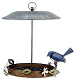 Bluebird Birdfeeder