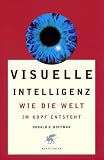 Visuelle Intelligenz: Wie die Welt im Kopf entsteht