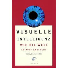 Visuelle Intelligenz: Wie die Welt im Kopf entsteht
