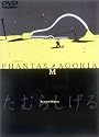 a piece of PHANTASMAGORIA【劇場版】 [DVD]