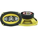 PYLE PLG69.8 6-Inch x 9-Inch 500 Watt Eight-Way Speakers