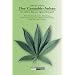 Der Cannabis Anbau : Alles �ber Botanik, Anbau, Vermehrung, Weiterverarbeitung und medizinische Anwendung sowie THC-Messverfahren