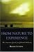 From Nature to Experience: The American Search for Cultural Authority (American Intellectual Culture)