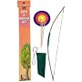 Bow and Arrow Set