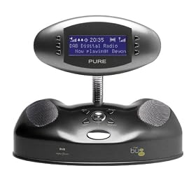 Pure - The Bug DAB Digital Radio with Pause and Rewind - Graphite