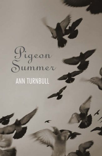 Pigeon Summer