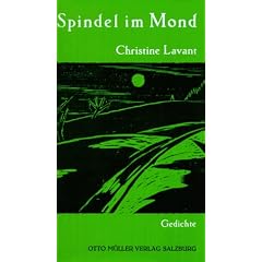 Spindel im Mond