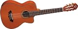Oscar Schmidt Requinto