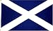 Scotland St. Andrews Cross Flag Polyester 3 ft. x 5 ft.