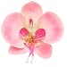 Karin's Garden - As Seen in 
