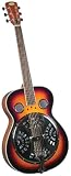 Regal RD-10V Roundneck Resonator Hardshell Case