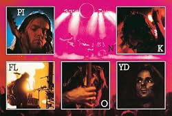 PINK FLOYD - LIVE IN CONCERT - NEW POSTER(Size 24"x36")