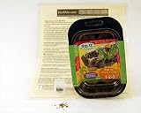 Parsley Mini Herb Garden Starter Kit - Includes Everything You Need To Grow Parsley Herbs - Perfect Spicing Up Your Cooking & Recipes! Includes: Parsley Seeds, Growing Instructions, Mini Grower Dome & Seed Starter Peat Pellets. A Fun & Easy Kit for Growing Parsley In Your Own Kitchen Countertop.