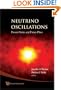 Neutrino Oscillations: Present Status and Future Plans
