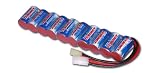 Side by Side 12V 4200mAh Expandable NiMH Battery Pack Modules with Two connectors