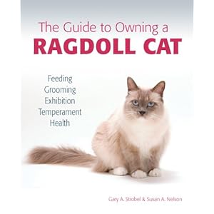 The Guide to Owning a Ragdoll Cat
