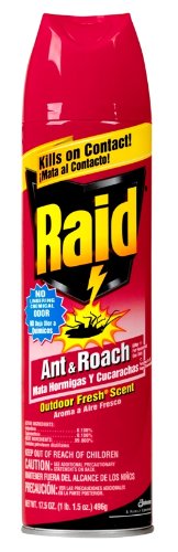 Raid Ant & Roach Killer  Outdoor Fresh  17.5-Ounce Cans (Pack of 12)