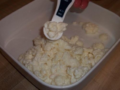 Milk Kefir- personal size by Lifetime Kefir