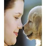 12 Steps to Have a Happy Dog