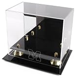 Golden Classic Michigan Wolverines Logo Mini Helmet Case