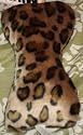 Milkbone Animal Print Plush Chew Bone Toy