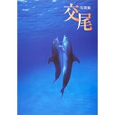 写真集 交尾