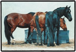 SIMPLE PLEASURES HORSES DOORMAT Adeline Halvorson