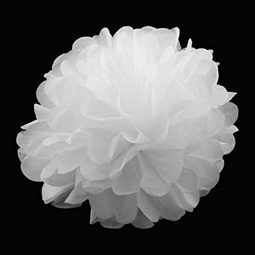 Bit fly 10pcs Crafts Tissue Paper Pom-poms Flower Ball Wedding Birthday Baby Showers Party Outdoor Decoration 6"8"10" (10", White)