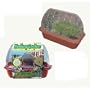 DuneCraft Windowsill Greenhouses - Healing Garden