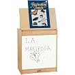 RAINBOW ACCENTS BIG BOOK EASEL WRITE-N-WIPE FRONT RED
