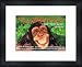 SUPERNATURALS It Doesn't Matter Anymore - Custom Framed Original Ad - Framed Music Poster/Print