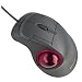 Microsoft D67-00001 Trackball Optical Mouse