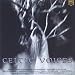 Artistes divers, Celtic voices