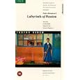 Pedro Almodovar s Labyrinth of Passion
