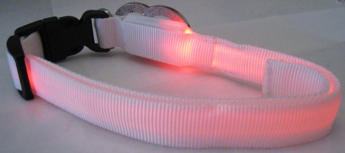 Image #3 of White Nylon Webbing