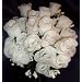 84 Silk Rose Flowers w/Raindrops - Wedding Flowers - Bridal/Floral - Ivory (OVERSTOCK CLEARANCE)