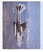 A-26E Intruder Airforce USAF - Photography Poster - 16 x 20