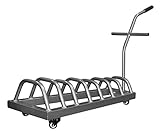 CoreX Moveable Bumper Plates Rack