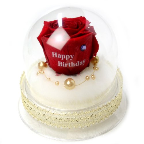 メッセージローズ (Preserved Rose) ローズドーム S1~情熱のラブジャック アトミック~レッド 【バースデイストーン☆12月】【Happy Birthday】 22239